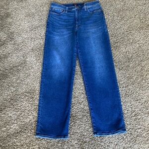 J.Crew Stovepipe Jeans – Size 30 – Men’s Style / Unisex Fit